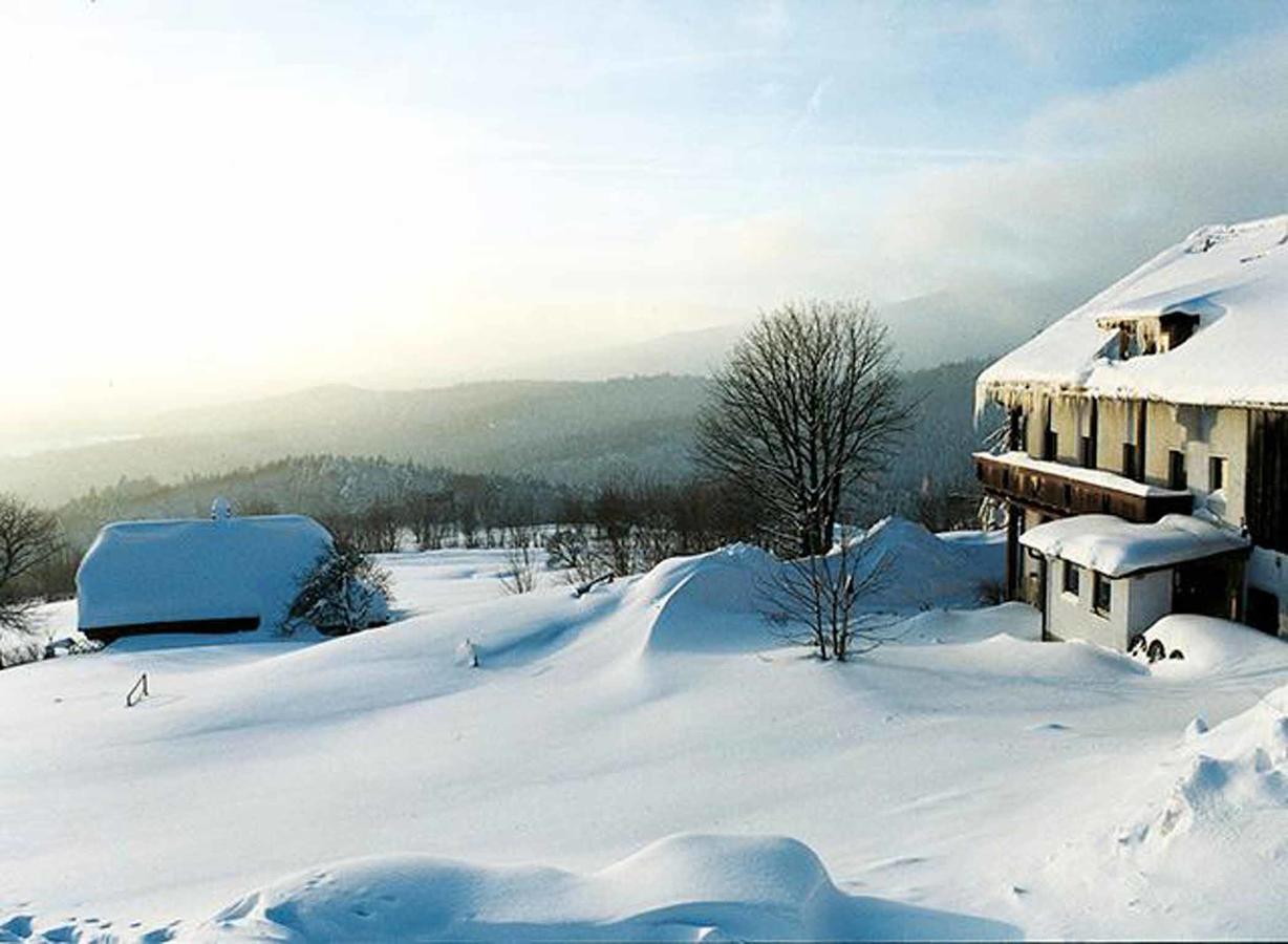 Pension Draxlerhof Neuschoenau Ngoại thất bức ảnh