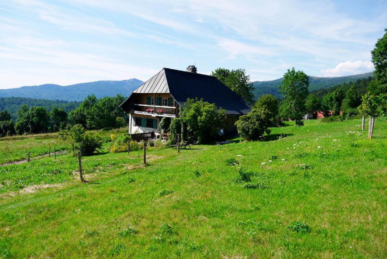Pension Draxlerhof Neuschoenau Ngoại thất bức ảnh